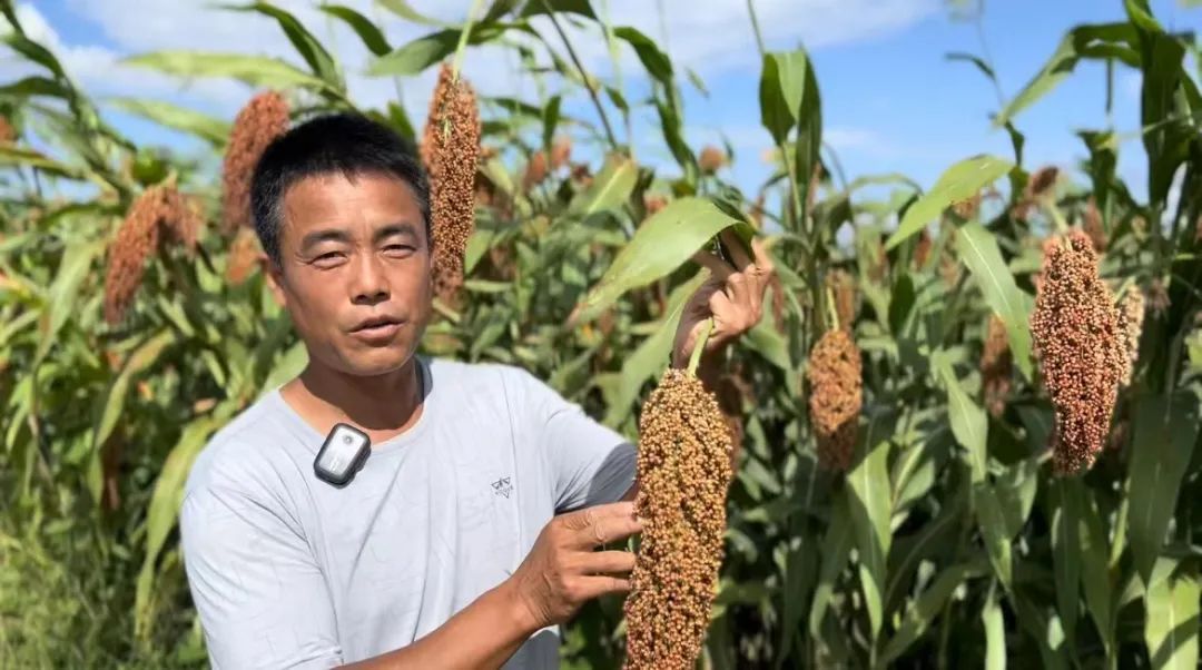 银河网上下载